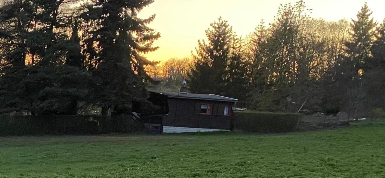 فيلا Ferienhaus Zittertal Neustadt Harz Haus I Harztor المظهر الخارجي الصورة