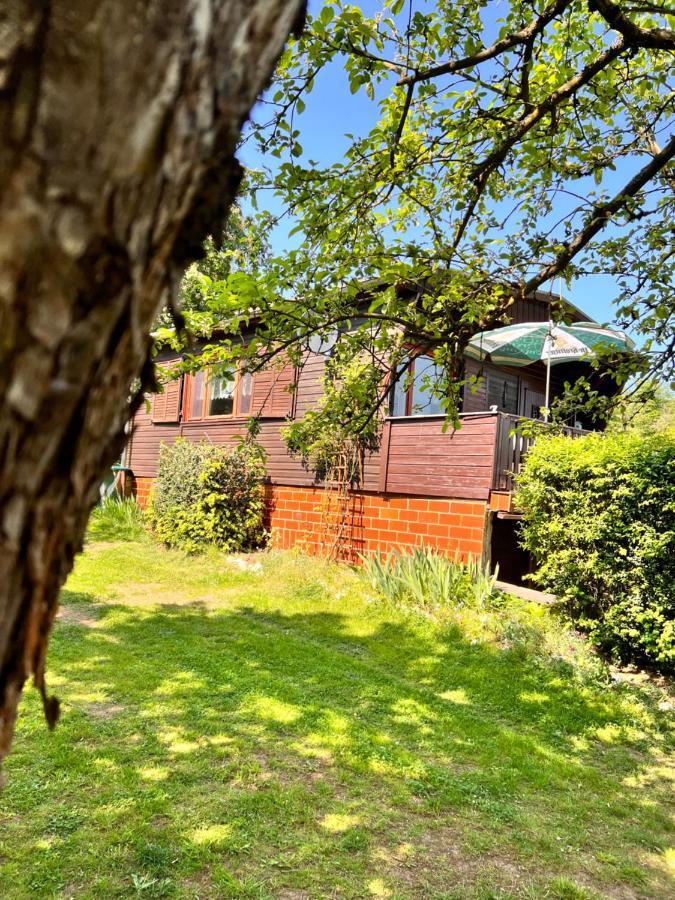 فيلا Ferienhaus Zittertal Neustadt Harz Haus I Harztor المظهر الخارجي الصورة